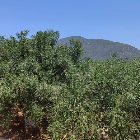 Corfiot With Seaviews To Dom wakacyjny